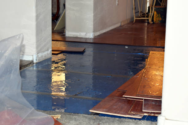 Professional Water Damage Repair technician working in Bleiblerville, TX